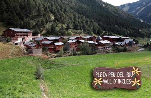 Soldeu Apartment | PORT DRET - Peu del Riu HUT 8141 - Vall d'Incles