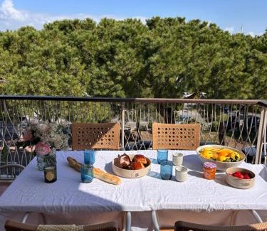 Antibes City Centre Apartment | Port Vauban - 6pers - terrasse - parking