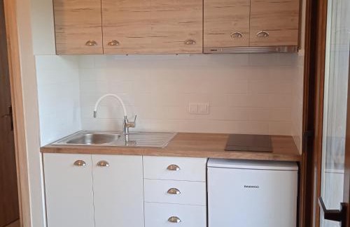 Nea Rodha Apartment | Porto Athos apartments