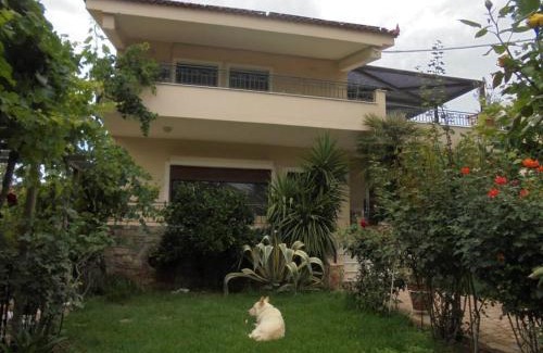 Porto Rafti House | Porto Rafti House