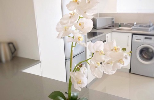 Green Point Apartment | Portswood Mews 14 by CTHA