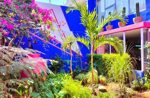Militar Marte House | Posada Bugambilia