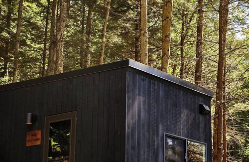 Pine River Cabin | Postcard Cabins Wild Rose