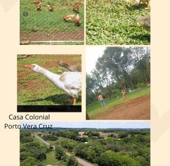 Boa Vista do Sul House | Pousada colonial