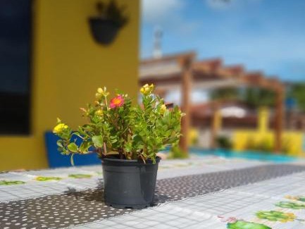 Rio Tinto Apartment | Pousada dos Sonhos