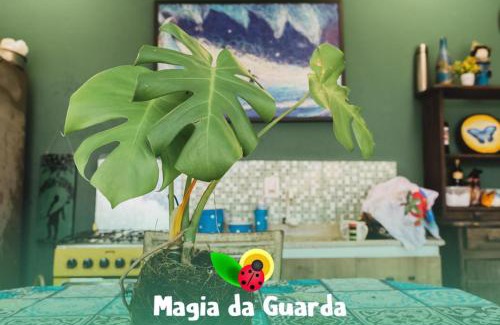 Pinheira Apartment | Pousada Magia da Guarda