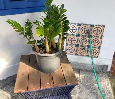Porto Belo Apartment | Pousada Maikai Garden
