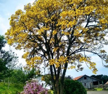 Bom Jardim da Serra Hotel | Pousada Morro Grande