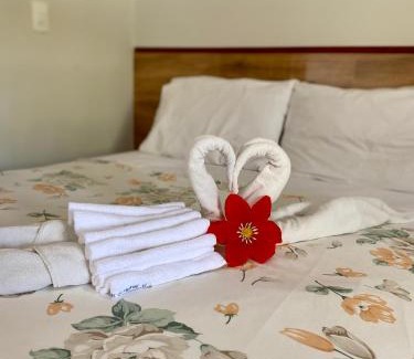 Sao Miguel dos Milagres Hotel | Pousada Paraíso dos Milagres