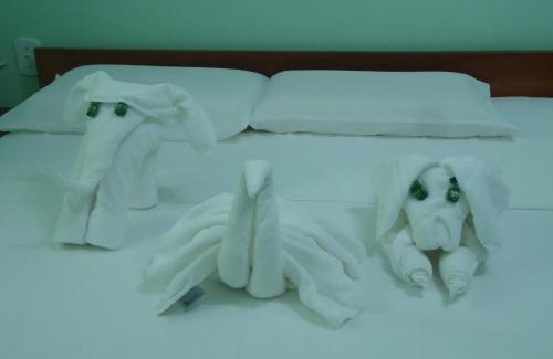 Barreirinhas Hotel | Pousada Paraíso dos Lençóis