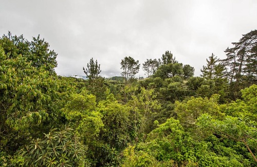 Campos do Jordao Hotel | Pousada Recanto São Benedito