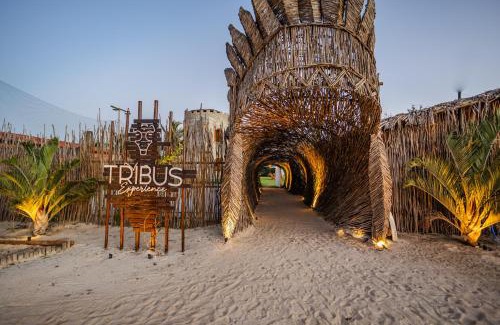 Prea Apartment | Pousada TRIBUS experience