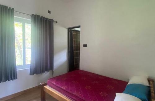Alappuzha House | Poyalil House (Ekaveera kalaripayattu academy)