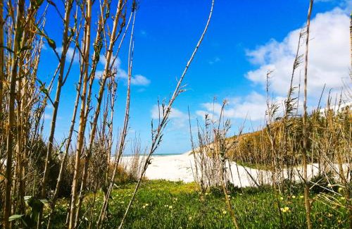 Obidos Villa | Praia d'el Rey The Golf & Beach Villa
