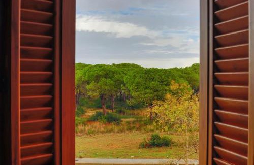 Los Gallos-Cerromolino Apartment | Precioso apartamento a 700 m del mar