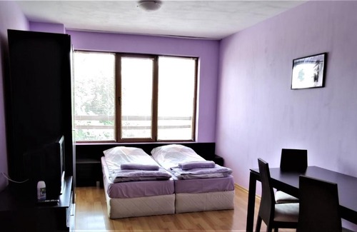 Shiligarnika Apartment | Predela 1 - Studio 10 near Bansko Ski Lift
