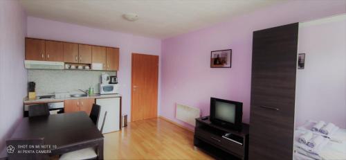 Shiligarnika Apartment | Predela 1 - Studio 10 near Bansko Ski Lift
