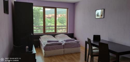 Shiligarnika Apartment | Predela 1 - Studio 10 near Bansko Ski Lift