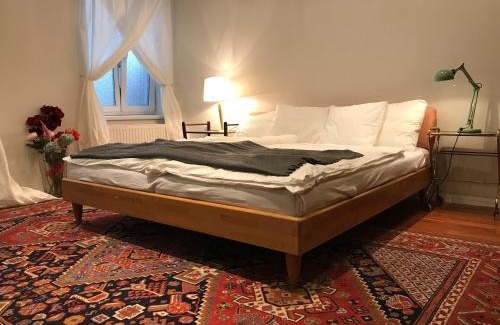 Alservorstadt Apartment | Premarental Apartment 1