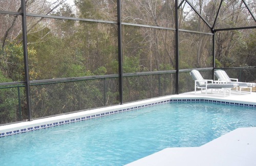 Indian Point House | Premier Host-Beautiful 4BR/2BA Pool Home on Conservation Lot - Disney 15 Minutes