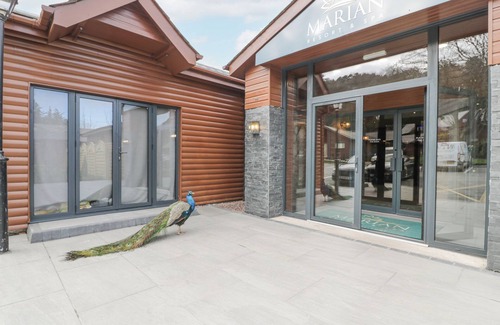 Dyserth Cottage | Premier Lodge 41