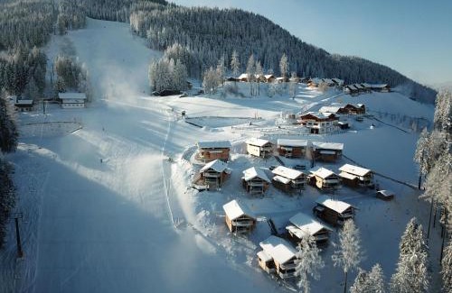 Pichl-Preunegg Ski Chalet | Premium chalet with infrared sauna