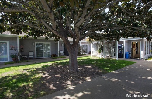 Downtown Monterey Cabin | Premium King Fireplace Room Walking Distance from the Beach!