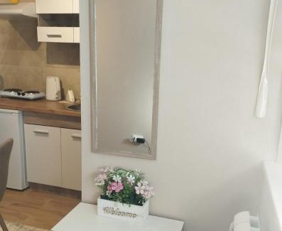 Novi Banovci Apartment | Prenoćište Lana 3