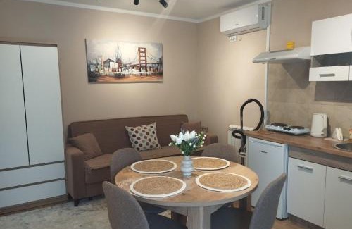 Novi Banovci Apartment | Prenoćište Lana 3