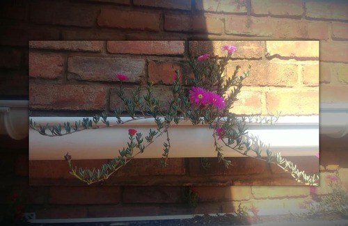 Pretoria Apartment | Pretoria Garden flat in Kilner Park
