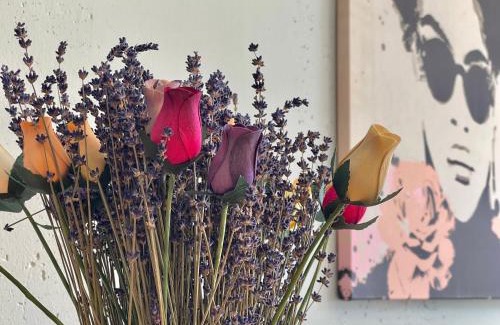 Bamberg Apartment | Pretty City, dein feinzeit Apartment #Parkplatz gratis #Braureidreieck #Supermarkt