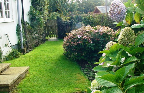 New Forest District Cottage | Pretty cottage with direct access to The New Forest