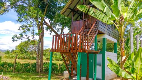 Sigiriya Hotel | Pride Rock Villa & Tree House