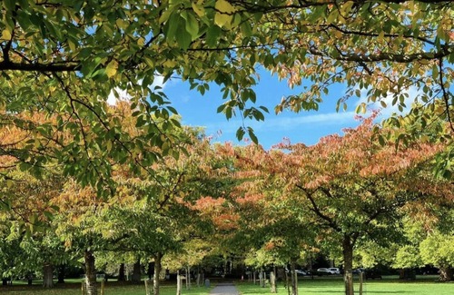 East Putney Apartment | Prime London Location 2 Bedroom 2 Bathroom Apartment with