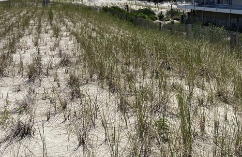 South Seaside Park Condo | Prime oceanfront condo with amazing views of the Atlantic and Island Beach!
