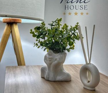 Leskovac Apartment | Princ house