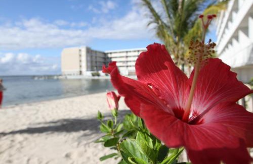 Midtown Ocean City Hotel | Princess Bayside Beach Hotel