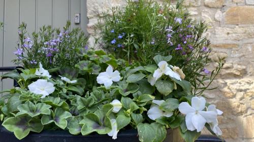 Burford Bed & Breakfast | Priory Tearooms Burford with Rooms