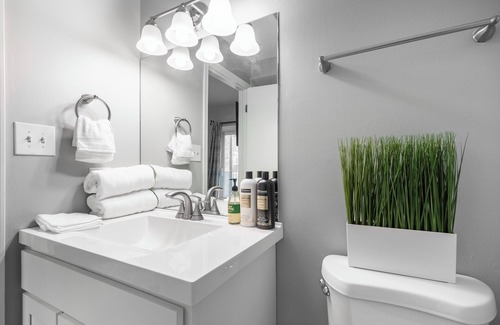 Pulaski Park Apartment | Pristine Paradise Haven. #Free Parking n