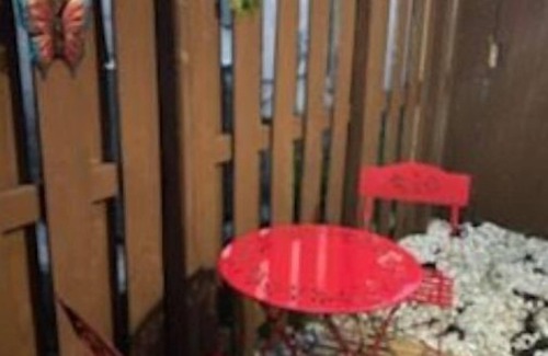 Homestead Apartment | Private 1/1 Studio w/Private Entrance