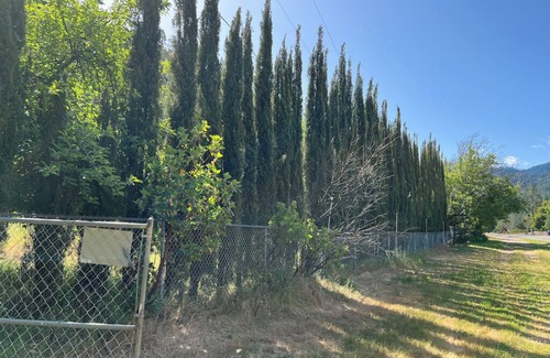 Big Bar House | Private 1-bedroom 1-bathroom guest suite in the forested area of Trinity County.