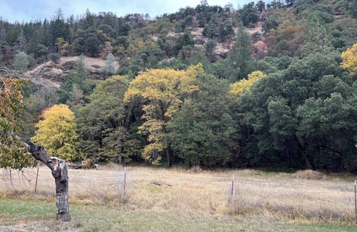 Big Bar House | Private 1-bedroom 1-bathroom guest suite in the forested area of Trinity County.