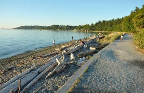 Roxhill Apartment | Private 1 BR Apt near the Beach, Airport, and quick commute to Downtown Seattle
