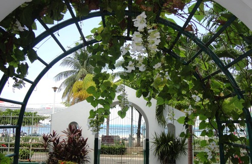 Ocho Rios Apartment | Private 2 Bedroom Beachfront Penthouse Condo Ocho Rios, Jamaica