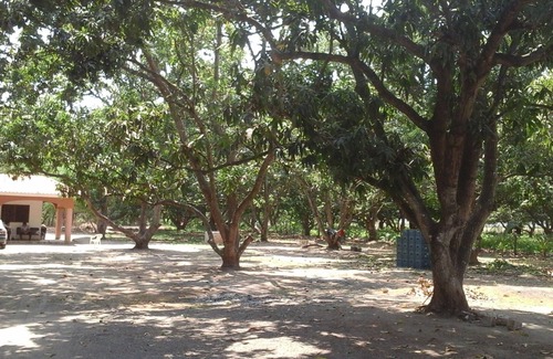 Mezcales House | PRIVATE 2BD RANCH 8 MILES FROM THE BEACH