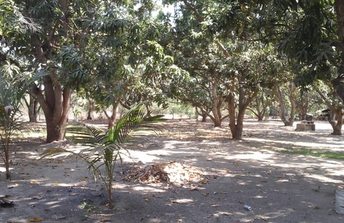 Mezcales House | PRIVATE 2BD RANCH 8 MILES FROM THE BEACH