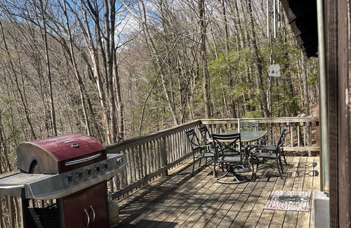 Williamstown Cabin | Private Berkshire Cabin on 27acres near Jiminy Peak.