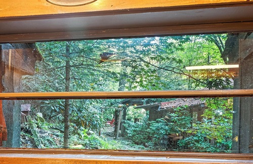 Waynesville Cabin | Private Cabin, Hot Tub, Great Location, Paved Roads. Blue Ridge Mtns, Downtown.