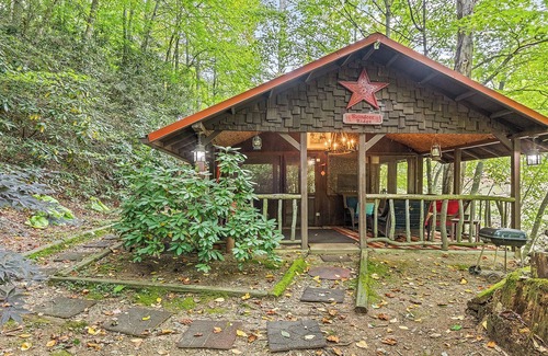 Waynesville Cabin | Private Cabin, Hot Tub, Great Location, Paved Roads. Blue Ridge Mtns, Downtown.