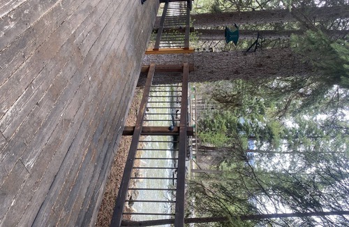 Darby House | Private Cabin on a Nez Perce Creek, 15 Minutes from Darby, MT
